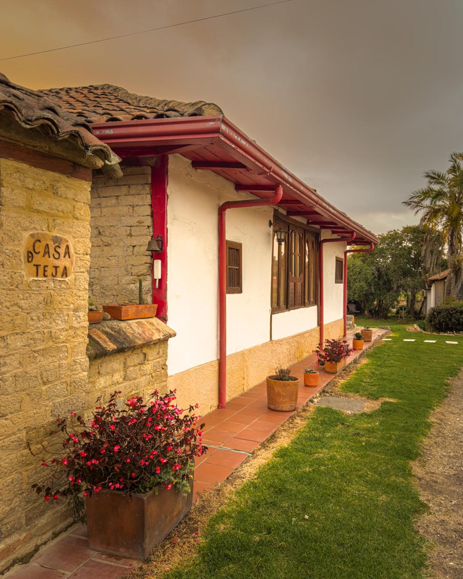 - Casa De Teja -